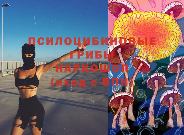 хмурый Мегион